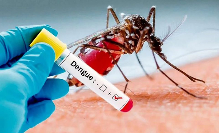 Información importante sobre el dengue